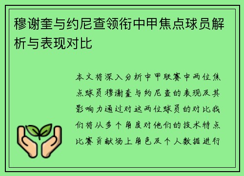 穆谢奎与约尼查领衔中甲焦点球员解析与表现对比