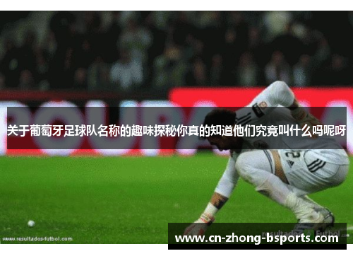 关于葡萄牙足球队名称的趣味探秘你真的知道他们究竟叫什么吗呢呀