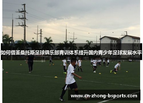 如何借鉴桑托斯足球俱乐部青训体系提升国内青少年足球发展水平