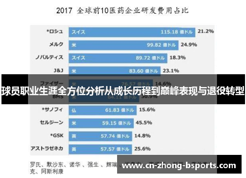 球员职业生涯全方位分析从成长历程到巅峰表现与退役转型