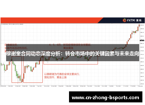 穆谢奎合同动态深度分析：转会市场中的关键因素与未来走向