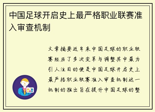 中国足球开启史上最严格职业联赛准入审查机制