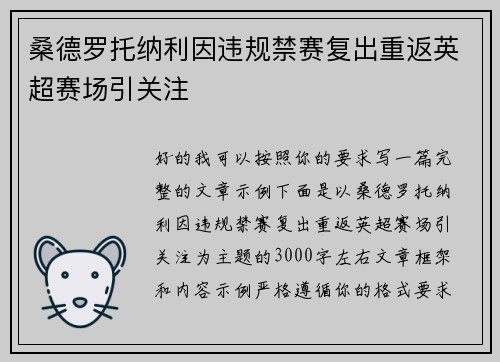 桑德罗托纳利因违规禁赛复出重返英超赛场引关注